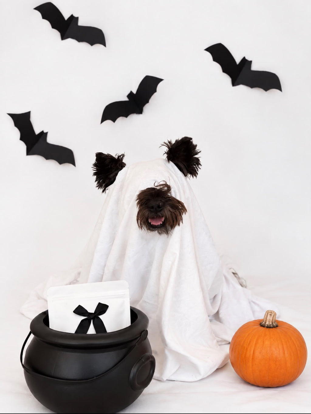Box Halloween