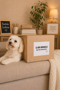 Box Mensuelles